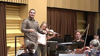 Violin concerto in D minor Excerpt op47 Sibelius [upl. by Hildick124]