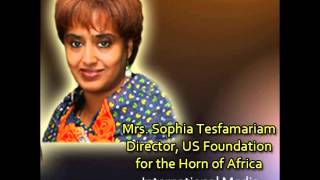 Sophia Tesfamariam on the appeal letter by the 22 intellectuals [upl. by Ahseined]