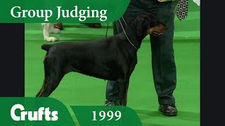 Doberman wins Working Group Judging at Crufts 1999 [upl. by Noreh]