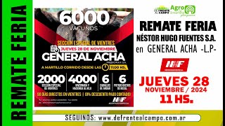 en VIVO  11 hs  REMATE de NÉSTOR HUGO FUENTES SA  JUE 28  NOV  2024  GRAL ACHA LP [upl. by Yrokcaz]