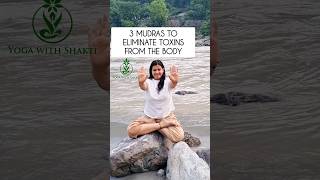 Detoxification Mudras  3 Mudras to eliminate toxins from the body shorts yogashakti [upl. by Ahsiloc157]