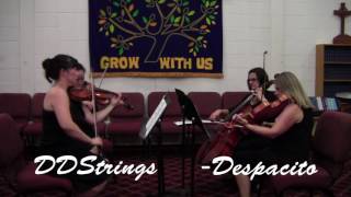 DDstrings Quartet  Despacito cover [upl. by Ysac812]