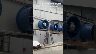 Drytech Heat Pump Dryers exported to Zambia use to drying wood dryingmachine fooddryer wooddryer [upl. by Ozkum]