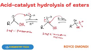 ACIDCATALYSED HYDROLYSIS OF ESTERS hydrolysis esterification [upl. by Naillik978]