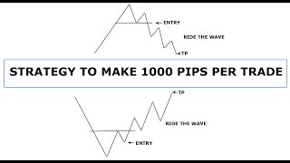 HOW TO MAKE 1000 PIPS PER TRADE EASILY WITH PRICE ACTION TRADING with examples [upl. by Hulton373]