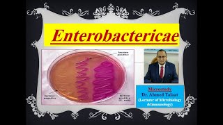 Enterobacteriaceae quotMedical Microbiologyquot [upl. by Yerggoeg]