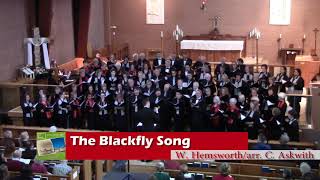 The Black Fly Song by Wade Hemsworth  arr Christopher Askwith Harmonia Choir amp Ottawa Brahms Choir [upl. by Dorolisa901]