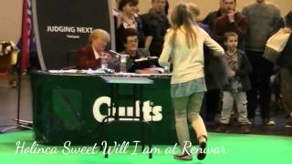 Pekingese Crufts 2016 Veteran amp Puppy dog [upl. by Fortunio]