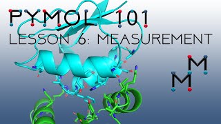 PyMOL 101 Lesson 6 Introduction to the measurement wizard amp polar contacts the N amp Cterminus [upl. by Aurelius271]