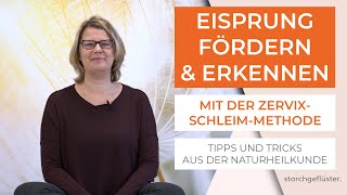 Eisprung natürlich fördern und erkennen mit der ZervixschleimMethode 🌱 Tipps aus der Naturheilkunde [upl. by Aldwon]