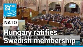 Last holdout Hungary ratifies Swedish NATO bid • FRANCE 24 English [upl. by Ten]