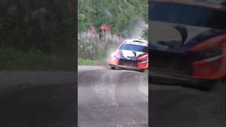 Ounipohja Puncture for Lappi RallyFinland WRC Rally1 Hyundai Rally AutoMobile Motorsport [upl. by Jaycee]