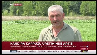 KANDIRA KARPUZU yemeden karpuz sezonunu kağatmayın [upl. by Yuria]