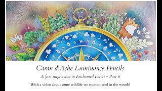 Caran dAche Luminance Pencils  Part 6 [upl. by Gilles]