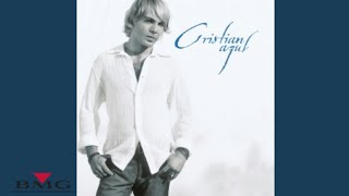 Cristian Castro  Lloviendo Estrellas Cover Audio [upl. by Eizzil]