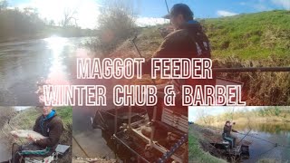 Targeting Winter Barbel and Chub With a Maggot Feeder [upl. by Ayekim]