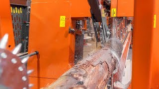 First Cuts Wood Mizer SLP Line and LT20 cutting Rubberwood in Thailand [upl. by Wynnie]