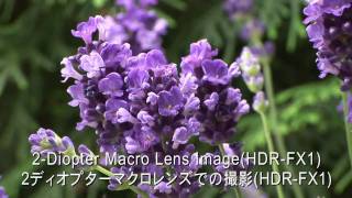 RAYNOX DCR5320PRO 532 Diopter HD 3in1 Macro conversion lensA [upl. by Enautna]