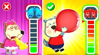 Wolfoo Health Checkup  Good Habits  Cartoons for Kids 🤩 Wolfoo Kids Cartoon [upl. by Ahsatal568]