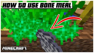 How to use bone meal in minecraft  🇺🇸 shorts [upl. by Trainer]