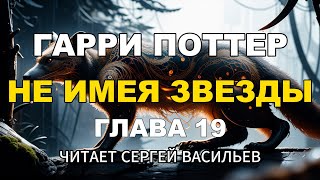 Не имея звезды  Глава 19  Гарри Поттер аудиокнига Васильев С [upl. by Sirtemed]