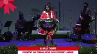 Mahalia Thomas Steelpan Cover of Piece ah Pork by Scrunter for Pantrinbago Christmas Telethon 2020 [upl. by Ultima]