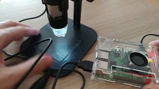 Raspberry Pi 3 USB microscope timelapse tutorial [upl. by Arem268]