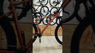 Giant Fathom 29 hardtail test mtb fyp shorts downhill reels enduro [upl. by Arorua]