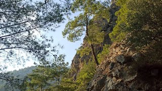 Kemer Beldibi Outdoor Walk Trip shorts Turkish Boohing [upl. by Augy]