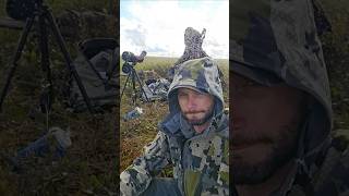 Hunting in Alaska be like alaska hunting mosquitos outdoors alaskalife [upl. by Neron858]