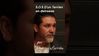 S O S Dun Terrien en detresse [upl. by Pallaton]