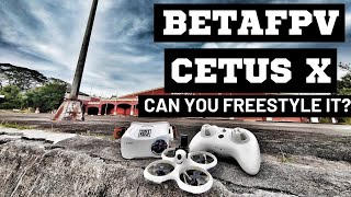 This is How You Maximise Your BetaFPV Cetus X [upl. by Spevek451]