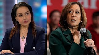 Lefties losing it Kamala’s ‘reckless’ and ‘disgusting’ antiTrump rhetoric [upl. by Brittan]