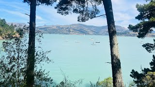 Corsair Bay  Lyttelton Christchurch NZ [upl. by Chilson457]