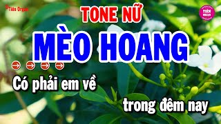 Mèo Hoang Karaoke Tone Nữ  Nhạc Sống Bolero Chất Lượng Cao  Tiên Organ [upl. by Valdis]