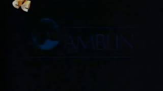 Amblin Entertainment Warner Bros Television Distribution 1990 [upl. by Anyahs374]