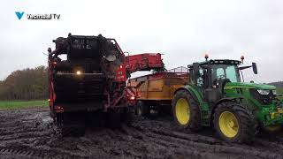 Aardappelen rooien onder extreme omstandigheden en daarna wassen [upl. by Nishi]