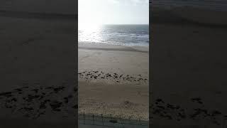 Saltcoats Beach Drone Footage [upl. by Farant]