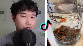 TikTok fishkeepers are insane  Fish Tank Review 206 [upl. by Reitman]