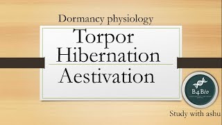 Torpor  hibernation  aestivation in physiology msc zoology 2nd sem [upl. by Atiek]