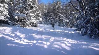 BC Tucker Brook trail New Hampshire 20022015 [upl. by Laddie536]