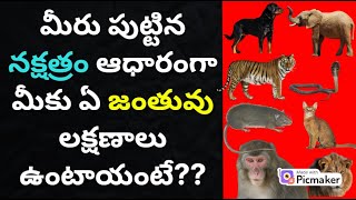 Nakshatra Characteristics in telugu Nakshatra lakshanaluastrology teluguGurubrahma Channel [upl. by Yorgo]