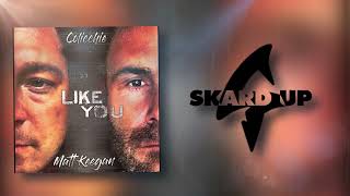 Matt Keegan  Like You Ft Colicchie Lyric Video [upl. by Iluj]