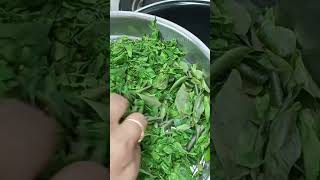 How To Make Moringa Powder At Home Drumstick Leaves Powder youtubeshorts ytshorts [upl. by Enileuqkcaj132]