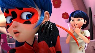 MARINETTES FAMILY WILL LEARN HER SECRET IDENTITIY Miraculous Ladybug Season 6 Spoilers [upl. by Gow]