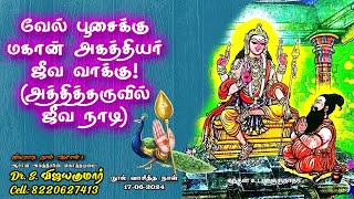 Vel Poojai Vaaku  வேல் பூசைக்கு மகான் அகத்தியர் ஜீவ வாக்கு 17062024 −அத்தித்தருவில் ஜீவ நாடி [upl. by Ayram]