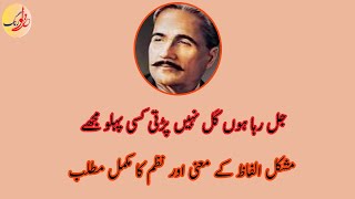 Allama Iqbal  Jal Raha Hoon Kal Nahin Partee Kisi Pehloo  Meanings of Difficult Words and Tashreeh [upl. by Wolsniw]