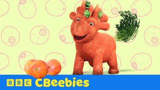 Here We Go Round The Yummy Drop Bush  Vegesaurs  CBeebies [upl. by Petronille]