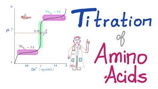 Titration of Amino Acids  pH pKa1 and pKa2  Isoelectric Point Amino Acids Part 4 [upl. by Noy280]