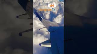 view off sky aeroplane ✈️shorttrandingvideos [upl. by Euh]